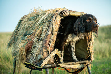 Obedience in the Hunting Blind: Why It's Important - FowlBound