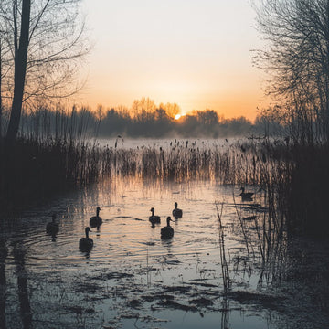 The Evolution of Duck Opener: Traditions, Tactics, and Techniques - FowlBound