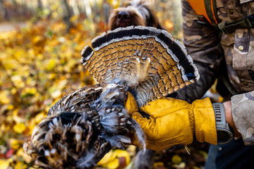 Upland Hunting: Understanding the Basics - FowlBound