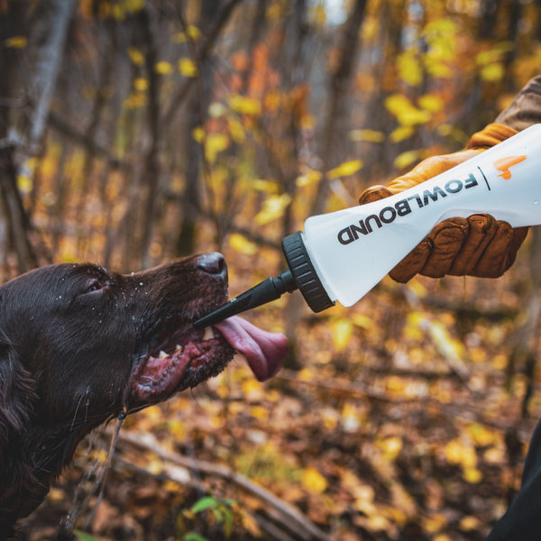 XT Dog Water Bottle - FowlBound