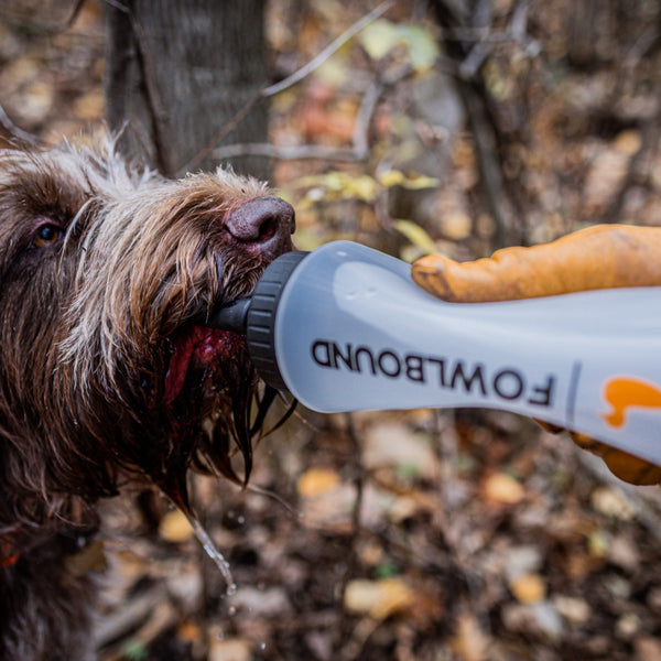 XT Dog Water Bottle - FowlBound